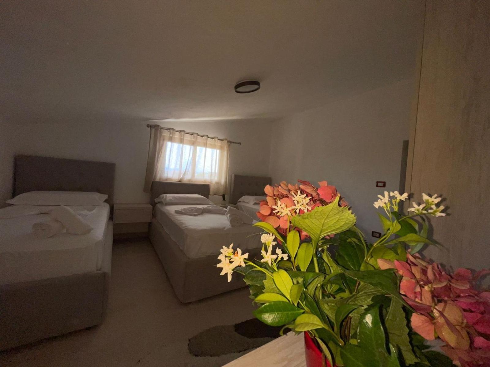 Prela'S Rooms Shkodër Eksteriør billede